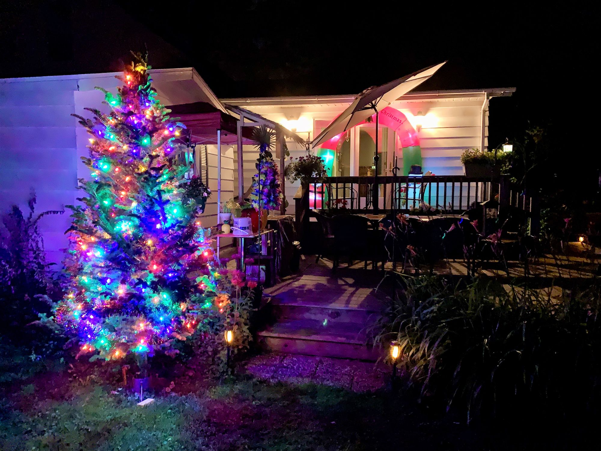 A Christmas tree lit up outside the family home for Christmas in July celebration.